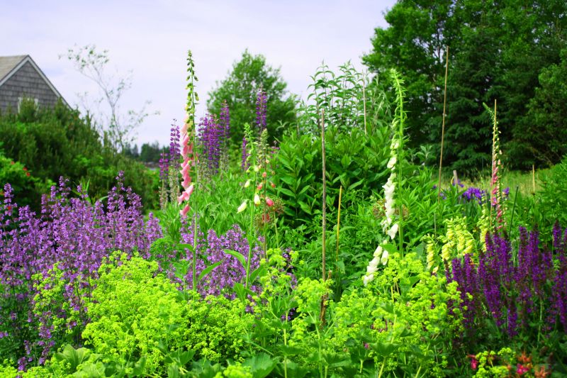 Landscaping with Native Plants