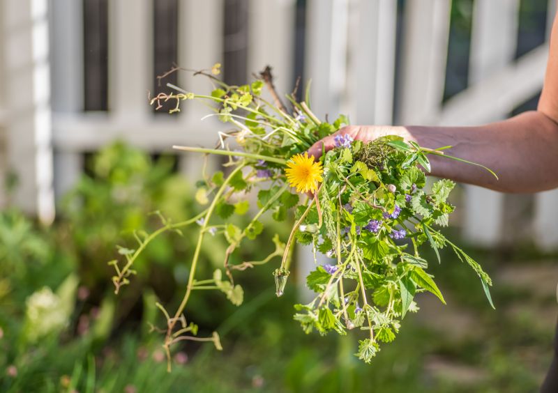 Products For Flower Bed Weedings in use