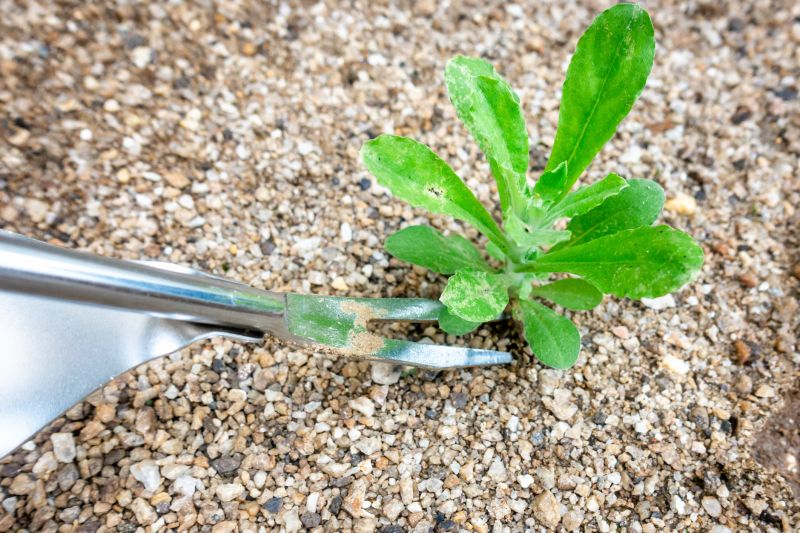 Garden Maintenance Tools